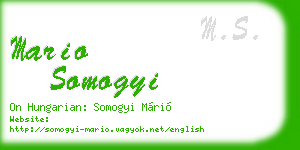 mario somogyi business card